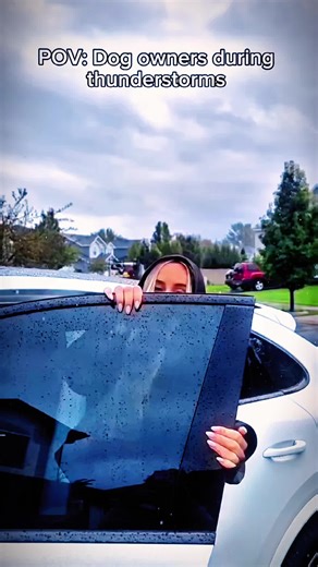 Movie Night with Oliver: Dog-Friendly Fun