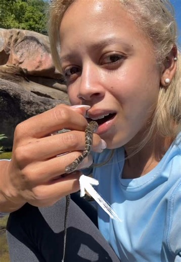 Baby water snake likes to be held and makes a friend 🩷 | Water Snake
