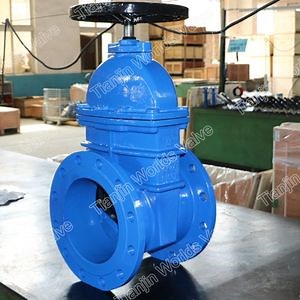Cast Ductile Iron Knife Flanged Gate Valve Awwa/BS5163