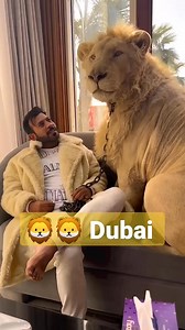 Simba Lion with Prince humaid Dubai #lion #Dubai #didin_clash | Paul باول