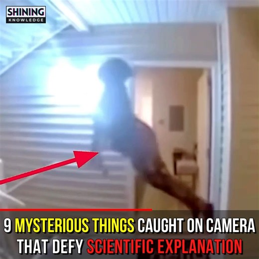 519K views · 13K reactions | 9 Mysterious Things Caught On Camera That Defy Scientific Explanation | Shining Knowledge | Facebook