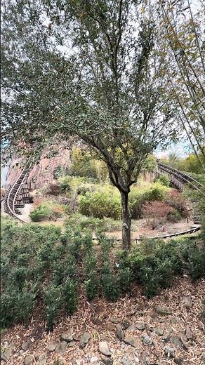 Disney Didn’t Warn Me About THIS 😬❄️ Expedition Everest - Legend of the Forbidden Mountain