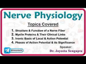 Nerve Physiology : Structure and function of neuron, Action potential of neuron 🌟🧠