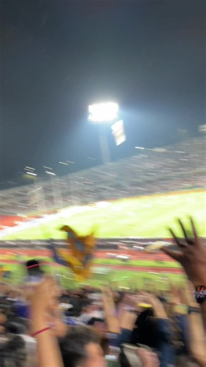 Pumas de mi vida: Orgullo Azulyoro