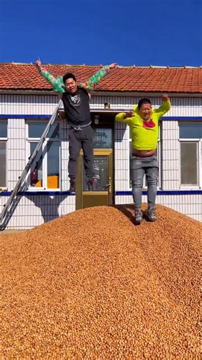 Perfectly Opened Hazelnuts 🌰 So Satisfying! #shorts #pistachios #chocolate #viralshorts