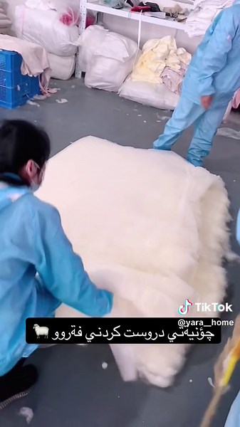 Wool Processing Facility: Behind the Scenes