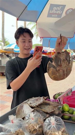 Is it edible?