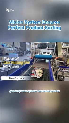 Revolutionize Your Production: Automated Carton Packing System Boosts Efficiency