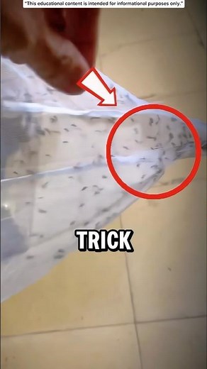 The Mosquito Killing Trick They Don’t Want You To Know 🦟