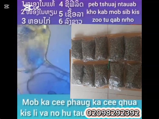 5.2K views · 96 reactions | Pom​ hluas​ nkauj​ zoo​ saib​ heev | Tshuaj Ntsuab Pab Hmoob | Facebook