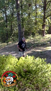 A Bear 🐻 #comedyskits #TheGuy #shoptheguy | The guy