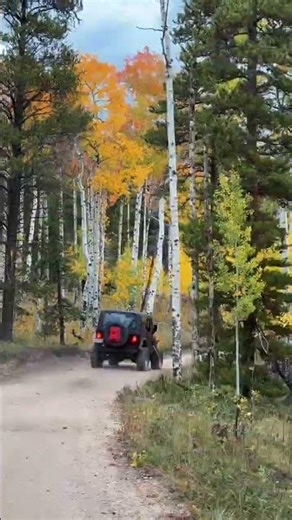 The Best Fall Colors Trail in Colorado? 🍁 Slaughterhouse Gulch, Bailey CO