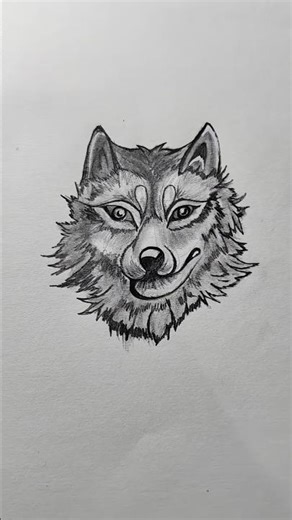 How to draw realistic fox face #drawing #viral #art #sketch #fox #shorts #bestyoutuber