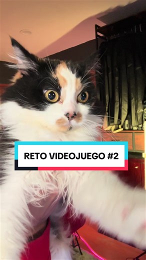 Reto de videojuego #videojuegos #videojuego #gamer #gamers | video game