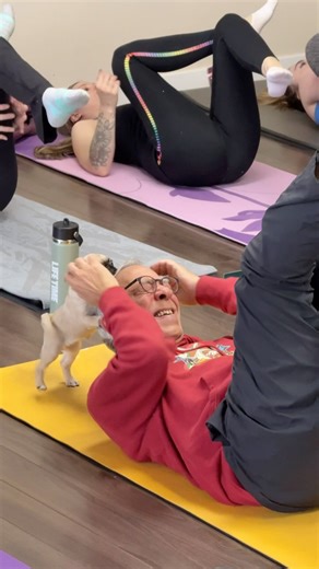 Muskoka Puppy Yoga on Instagram: "If you came for calm, you came to the wrong class! Our Pug puppy yoga class turned into the most adorable storm of zoomies, snorts, and laughter. These tiny, squishy bundles of energy ran wild, melted hearts, and reminded us that healing doesn’t always look serious. Sometimes, it looks like uncontrollable giggles and a nervous system reset you didn’t know you needed. This is joy therapy. This is why we do what we do. Join us, see our schedule on our website www.