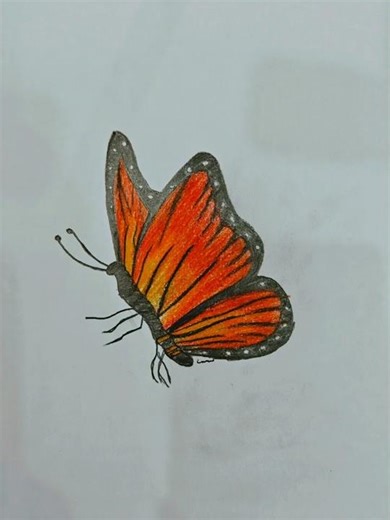 Drawing a Vibrant Monarch Butterfly | Colored Pencil Tutorial #Art #ButterflySketch #SatisfyingArt