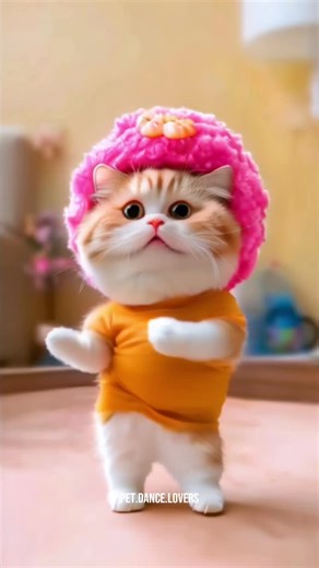 Cat dance #trending #catdance #cat #petdance #motorcycle