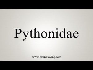 How To Say Pythonidae