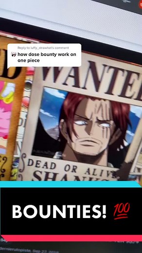 Understanding One Piece Bounties: How Do They Work?