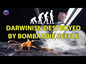 Incredible Creatures That Defy Evolution Darwinism Destroyed by Bombardier Beetle - Dr Jobe Martin