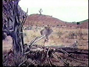 Cutters Trail - Alchetron, The Free Social Encyclopedia