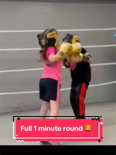Little Lion Demonstrates Impressive Boxing Skills