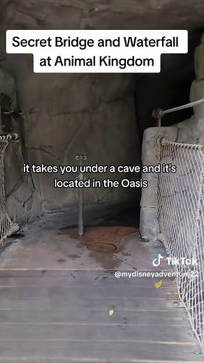 Ani | Disney w/Toddlers & Kids on TikTok