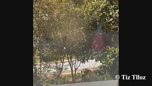 Static Window Clings Installation Guide