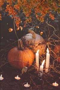 101K views · 2.8K reactions | Gorgeous Autumn Day 李 #autumn #autumnleaves #autumncolors | Inspire Your Beautiful Soul | Facebook