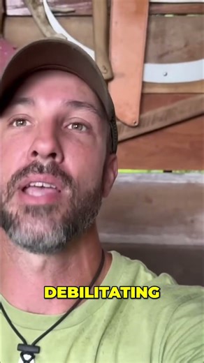 Capabilities and Uses of a Signal Mirror