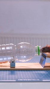 52K views · 99 reactions | Clever Bottle Mouse Trap You Can Make at Home | 5-Minute Workouts | Facebook