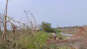 4.6K views · 81 reactions | As the internet connection is slowly...