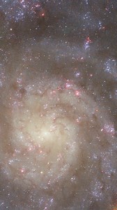 This glittering galaxy lies about 30 million light-years away. Called IC 5332, its "face-on" orientation to Earth gives us a stunning view of its sparkling, loosely wound spiral arms. Spiral galaxies are disks of stars, gas, and dust that have bright bulges in their centers made up primarily of older and dimmer stars. Their whirled arms are typically full of gas and dust, which helps give rise to the bright, younger stars visible throughout their length. These galaxies are actively forming stars