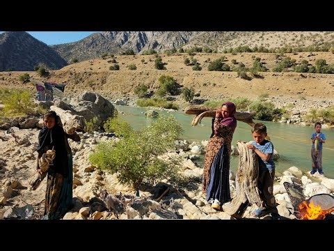 Nomadic Life: Building a Wooden Shelter 🪵 | Cooking Delicious Fish in Nomadic Style🐟