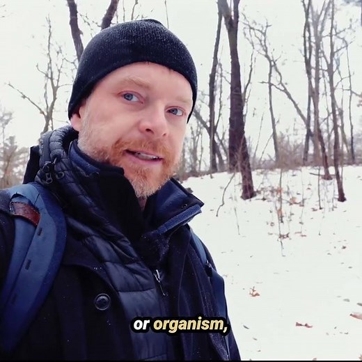 The "Petri Dish" Method: How to Observe Without Absorbing