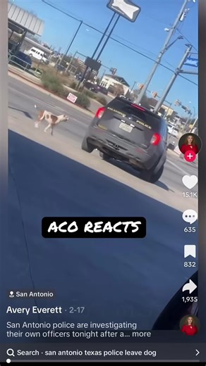 Anissa 🤙🏽 (@momo.molina)’s video of san antonio dog chasing cop car