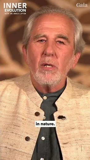 Everything in the UNIVERSE Consists of Fractal Patterns