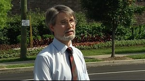 Harambe, Gorilla Killed at Cincinnati Zoo, 'Had to Pay the Price': Experts