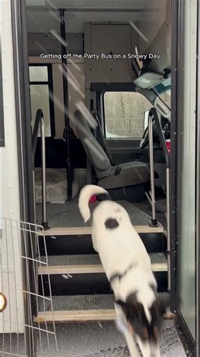 Getting off the Party Bus on a Snowy Day