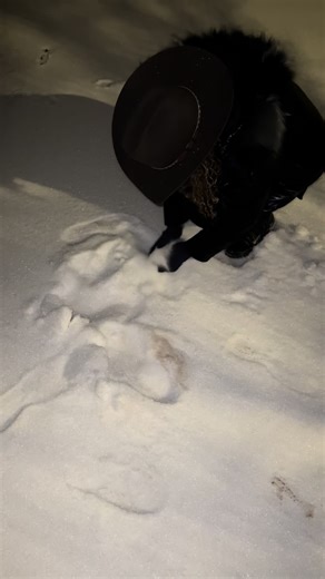 Magical Winter Wonderland: Texas Snowstorm Effects