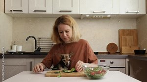 Dog asks owner for food, hungry pet, cute canine, waiting at the table
