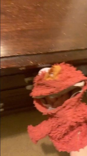 elmo world bugs quiz