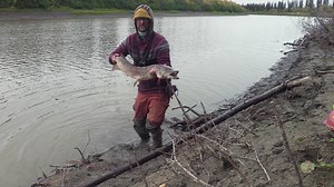 Alone Season 11 Episode 3 Fortune