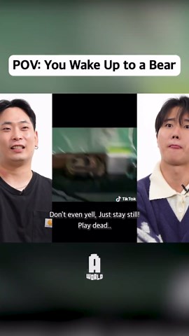 POV: You Wake Up to a Bear#awesomeworld #fyp #reaction #korean | reaction videos