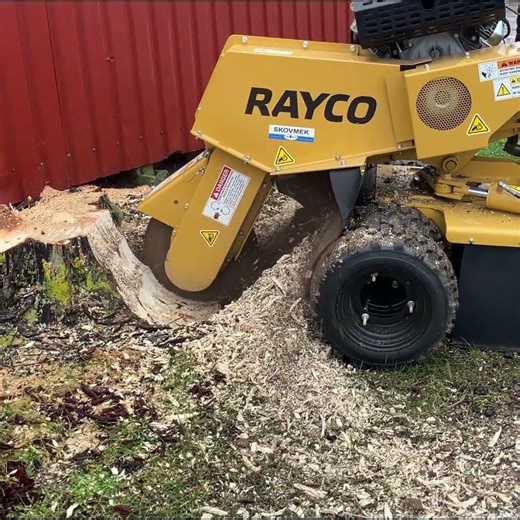 Rayco RG37 on a roll💪