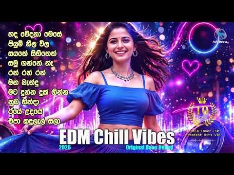 Sinhala Top 10 EDM Mixtape 18 | Avi beats