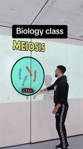 Meiosis explained - GCSE Biology Rap