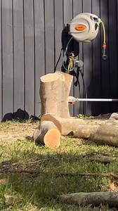 @allaboutgrassandgardens showing us how he uses his STIHL pole saw to navigate jobs of all shapes and sizes! Tag us in your #STIHLMoments for your chance to feature. #STIHLAU #STIHL #STIHLFans #STIHLPoleSaw | STIHL