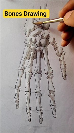 Bones Drawing 😯🔥 #shorts #art #anatomy #bones #humanbody #drawing #sketch