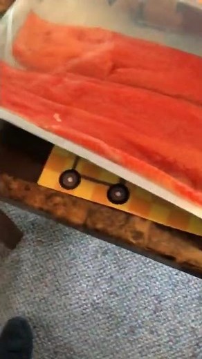 Cooking sockeye salmon